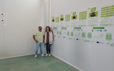 La OPP20 presenta su iniciativa de información a los consumidores para contribuir a la trazabilidad de los productos de la OPP