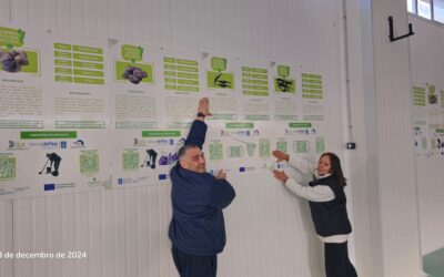 La OPP20 trabaja en la total transparencia para el consumidor final