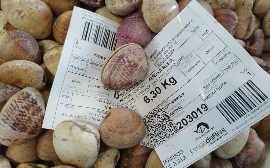 A trazabilidade do marisco da OPP20 permite seguir a evolución da comercialización ao longo de 2025