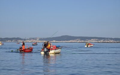 ¿Qué son las toxinas marinas y por qué se ha cerrado el marisqueo de bivalvos?